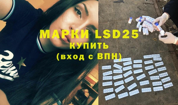 стаф Алзамай