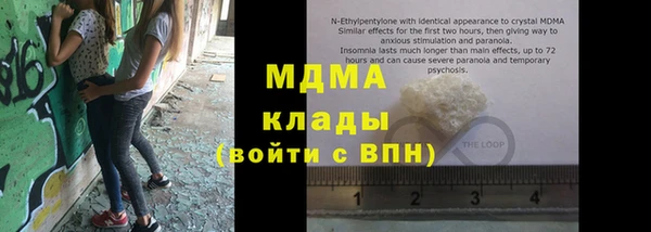 стаф Алзамай