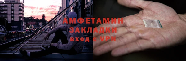 стаф Алзамай