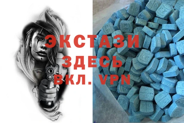 стаф Алзамай