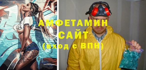 стаф Алзамай
