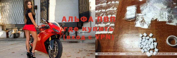 стаф Алзамай