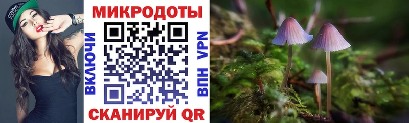 блэк спрут ONION  Мензелинск  Псилоцибиновые грибы ЛСД  что такое  